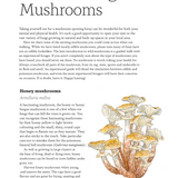Project Mushroom Book