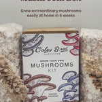 Mushrooms growing video